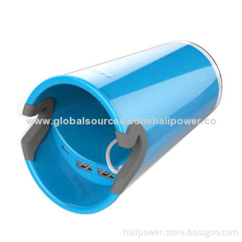 In Car Charger